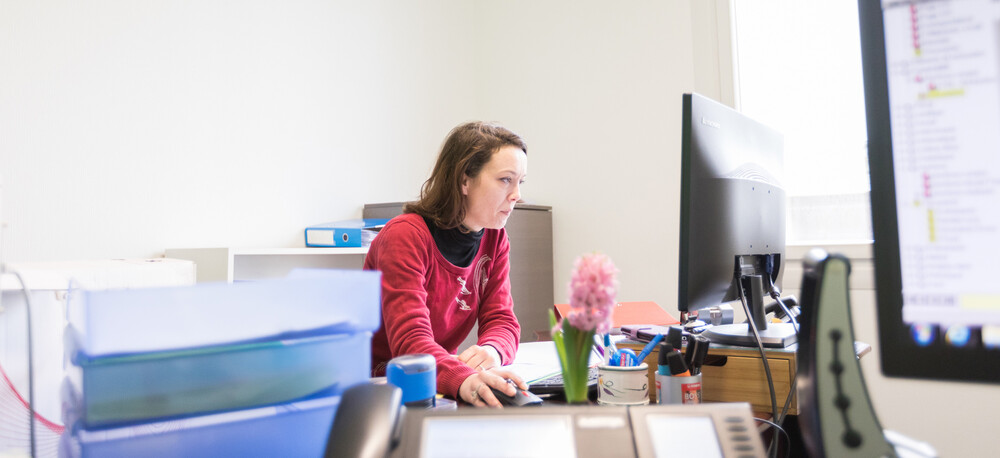 Conseils en gestion - Prévisionnels